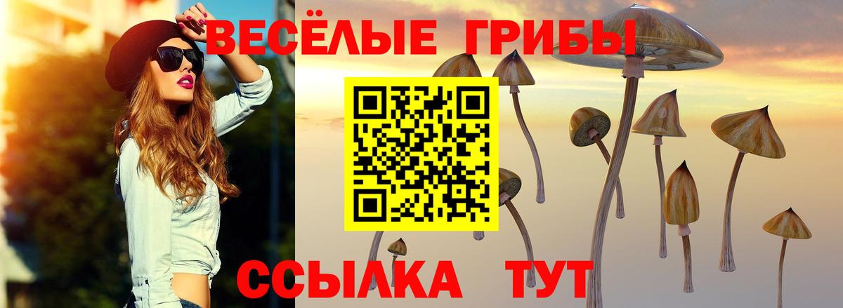Псилоцибиновые грибы прущие грибы  Вход с VPN  Выборг 