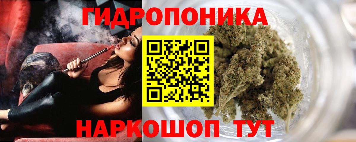Марихуана конопля Выборг
